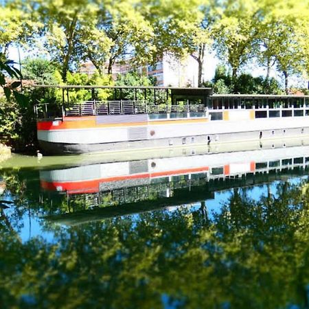 Appartement T2 40 M2 - Tout Equipe Et Calme Toulouse Eksteriør bilde